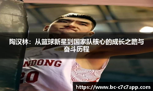 c7c7.app网页版