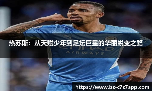 c7c7.app网页版